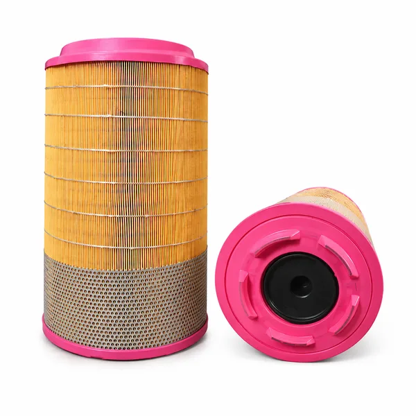 PERSOLY Air Filter (Heated) PL-A-710