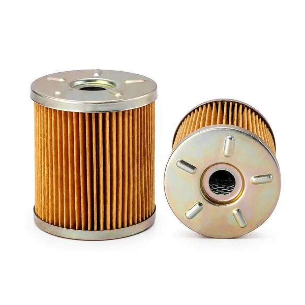 PERSOLY Fuel Filter (Heated) PL-F-1379